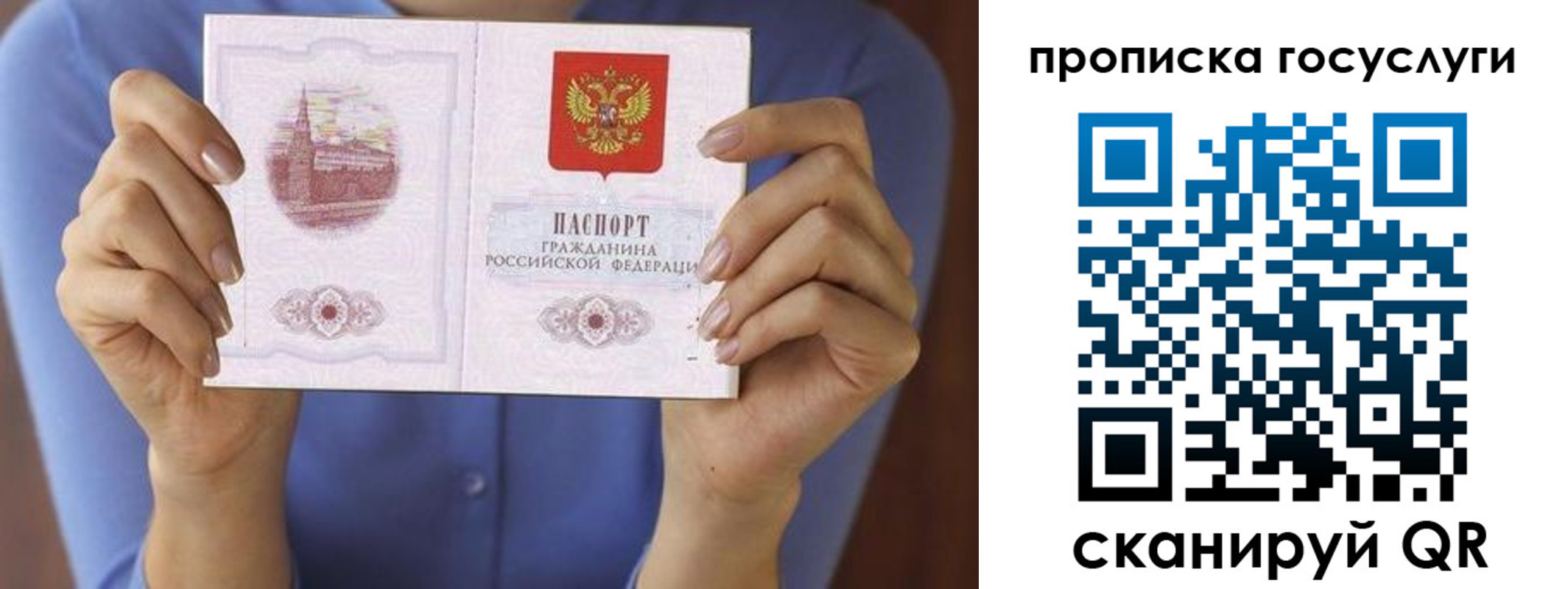 временная регистрация поиск в Ростове